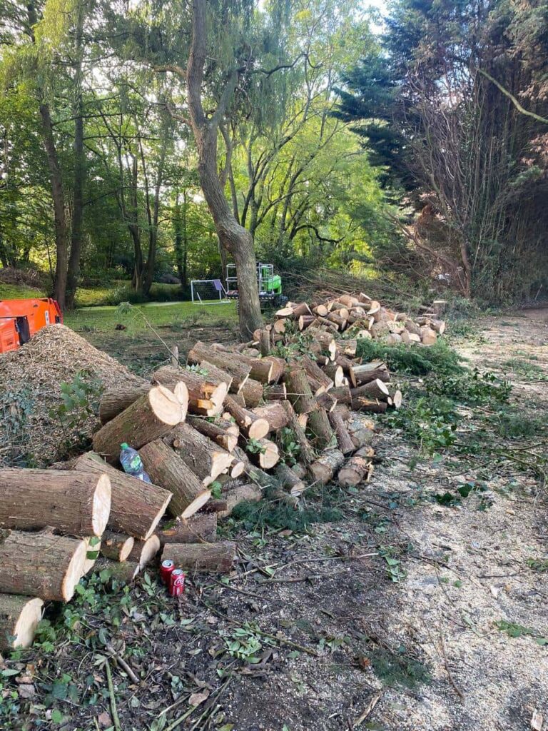 This is a photo of an overgrown large garden, which is in the process of having tree removal. The photo shows a stack of logs along the left hand side, from all the trees which are being removed. Photo taken by Linton Tree Surgeons.