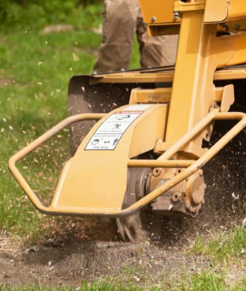 This is a photo of a stump grinding machine being used to remove a tree stump in a field. Photo taken by Linton Tree Surgeons.