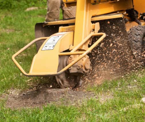This is a photo of a stump grinding machine being used to remove a tree stump in a field. Photo taken by Linton Tree Surgeons.